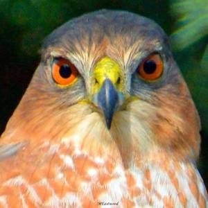 Meet your Posher, Tim